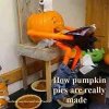 pumkin pie.jpg