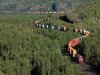 train-evergreens1.jpg