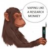 monkeysee123.jpg