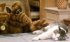 ALF-kitty.jpg