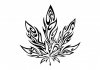 marijuana_leaf_1_by_cuba12-d4198yl.jpg