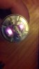 topglowingorchid.jpg