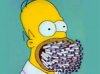 homer_smoking.jpg