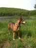 Roxy 082014A.jpg