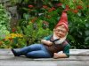 800px-German_garden_gnome.jpg