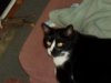 SAM_0273.jpg