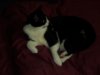 SAM_0283.jpg