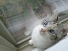 IMG_20111213_124732.jpg