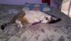 20140909_095527.jpg