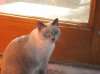 animals 001.jpg