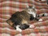 animals 006.jpg