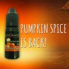 pumpkin spice.jpg