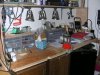 DSCN6933.jpg