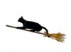cat-broom-t-g.jpg
