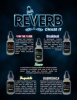 reverb flavors.jpg reverb flavors.jpg