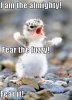 Fear the Fuzzy.jpg