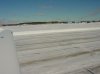 DSC02037.jpg