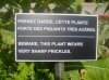 Bad-Translation.jpg
