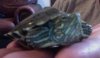 Photo on 11-7-11 at 12.48 PM.jpg