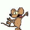 dancing rat.gif