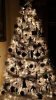 bw xmas tree.jpg