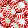 Peppermint_Chill_-large_8f55bfbd-8e62-41d4-8cd3-4d6d53856f35_medium.jpg