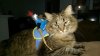 IMAG0086.jpg