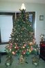20141208_171420-1.jpg