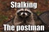 stalkingmailman.jpg
