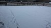 first snow ( 12-18-2014).jpg