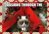grumpy-cat-christmas-funny-pictures-1224.jpg