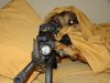 funny-animal-pictures-with-gunsfunny-animal-pictures-with-captions-quotes-words-sayings-for-kids.jpg