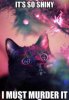 Christmas-Cat.jpg