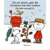 charlie snoopy.jpg