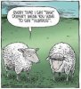 sheep bah.jpg