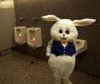 easter-urinal.jpg