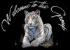 welcom to th group tiger.jpg