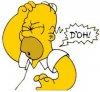 Homer_Doh.jpg