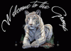welcom to the group tiger2.gif