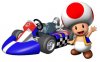 MKW_Artwork_Toad.jpg
