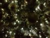 IMG-20141202-00138_542net.jpg