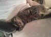 20130131_234840.jpg