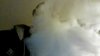 VIDEO0292_0000001277.jpg
