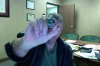 Photo on 11-21-11 at 1.43 PM #2.jpg