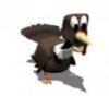 turkey_running_lg_wht.jpg