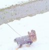 100_0780.jpg
