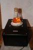 DSC01031.jpg