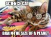 science_cat.jpg