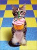 bdaycat1.jpg