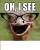 a i see.jpg